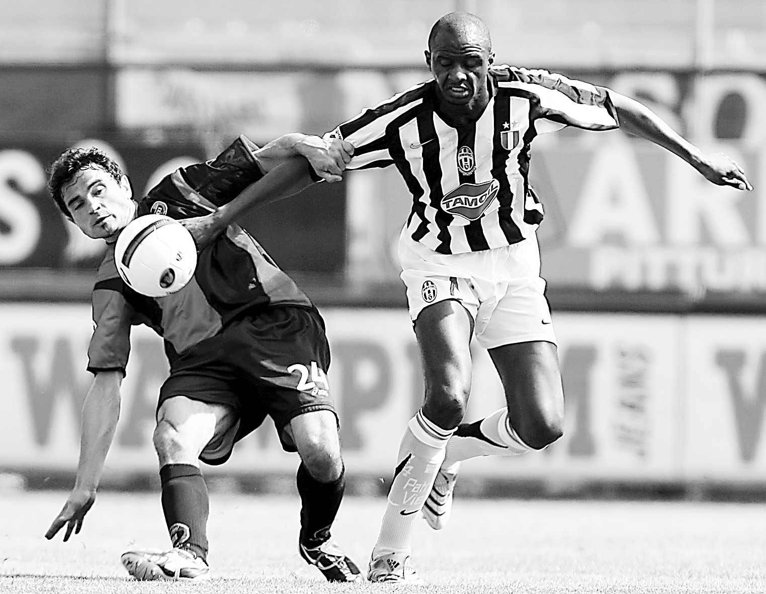 不实信息 不实信息